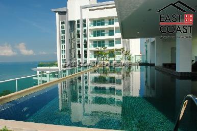 The View 13