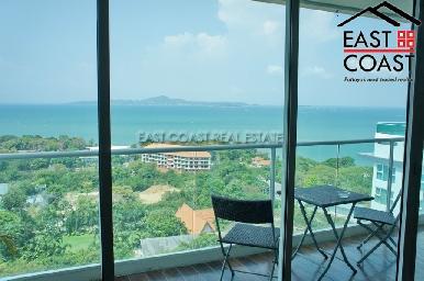 The View 14