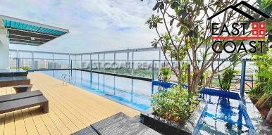 Treetops 8