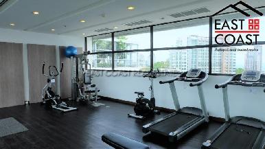 Treetops 12