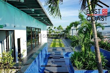 Treetops 16