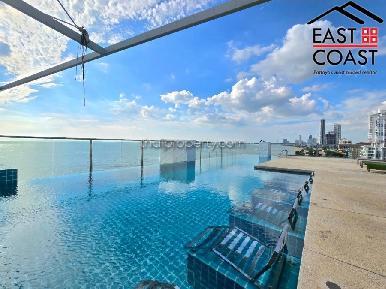 Water Edge 23