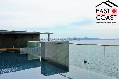 Water Edge 11