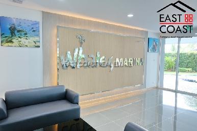 Whale Marina 30